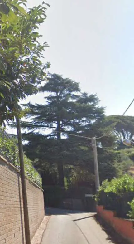 Villa in vendita a Velletri - foto 5