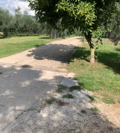 Appartamento in vendita a Velletri - foto 3