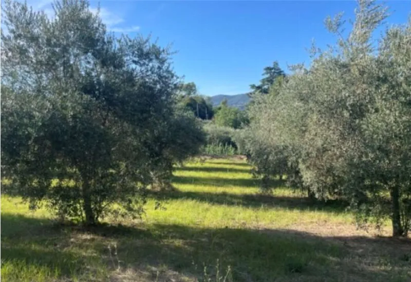 Villa in vendita a Velletri - foto 8