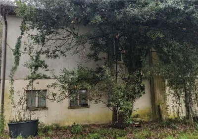 Villa in vendita a Oderzo - foto 6