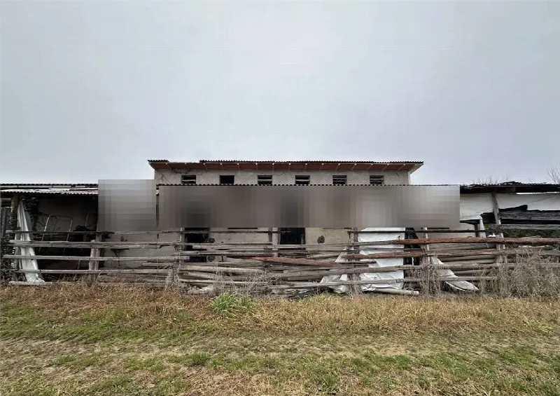Rustico/Casale in vendita a Zero Branco - foto 5