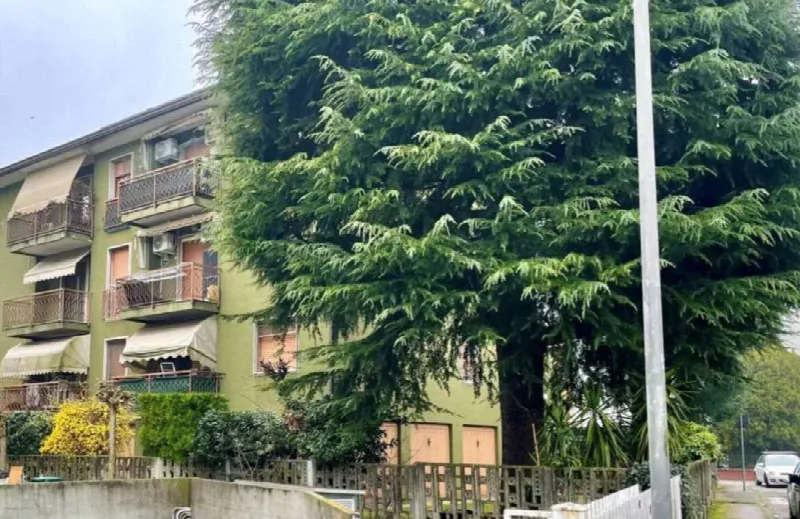 Appartamento in vendita a Scorzè - foto 5