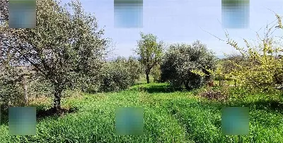 Appartamento in vendita a Zagarolo - foto 8