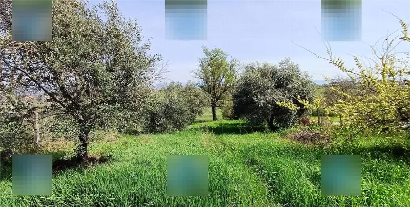Appartamento in vendita a Zagarolo - foto 8