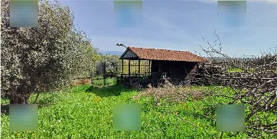 Appartamento in vendita a Zagarolo - foto 9
