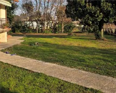Casa Indipendente in vendita a Volpago del... - foto 7