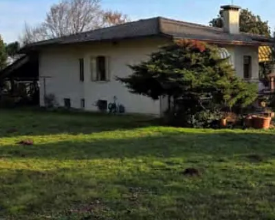 Casa Indipendente in vendita a Volpago del... - foto 9