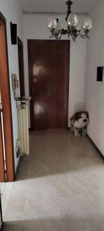 Appartamento in vendita a Rovigo, Borsea, ... - foto 8