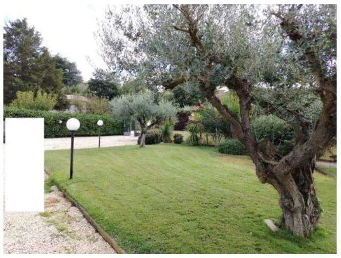 Villa in vendita a Marino - foto 4