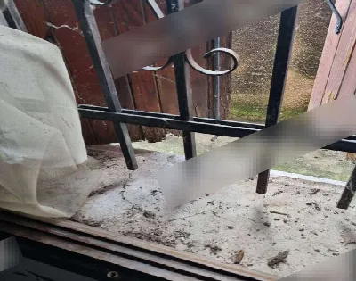 Villetta a schiera in vendita a Vedelago - foto 6