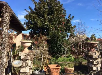 Villetta a schiera in vendita a Labico - foto 2