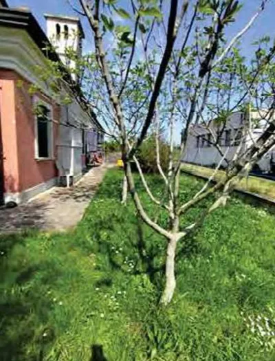 Casa Indipendente in vendita a Ariano nel ... - foto 10