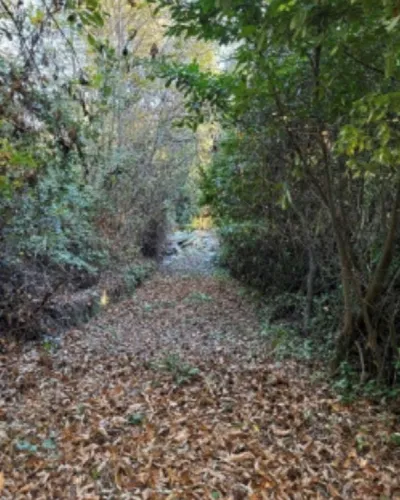 Villetta a schiera in vendita a Genazzano - foto 3