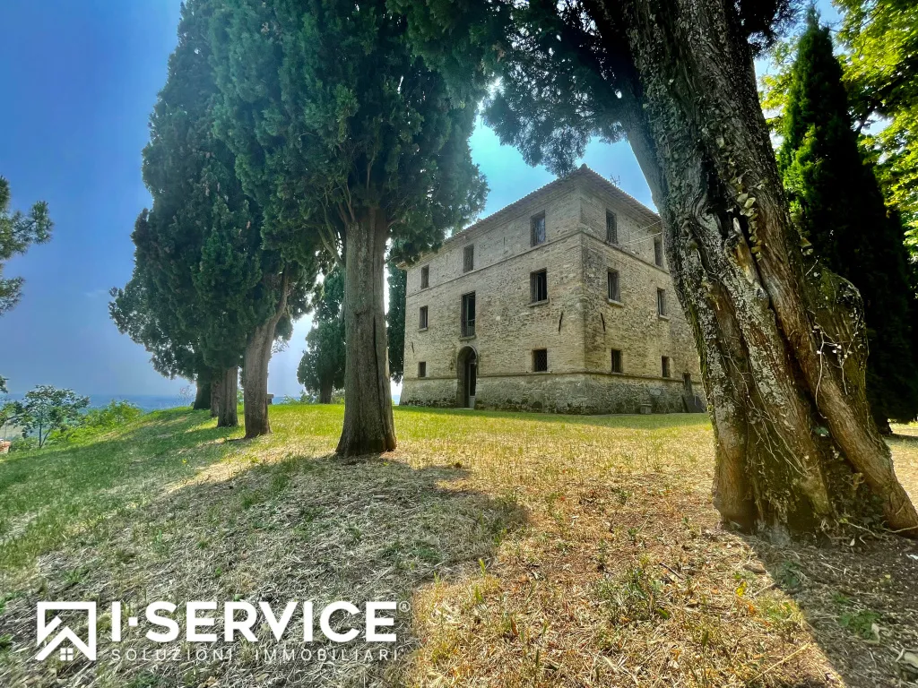 Rustico/Casale in vendita a Bertinoro - foto 4
