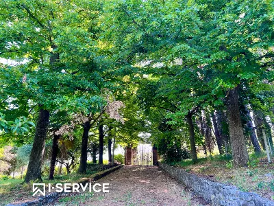 Villa in vendita a Cesena, Centro Storico,... - foto 4
