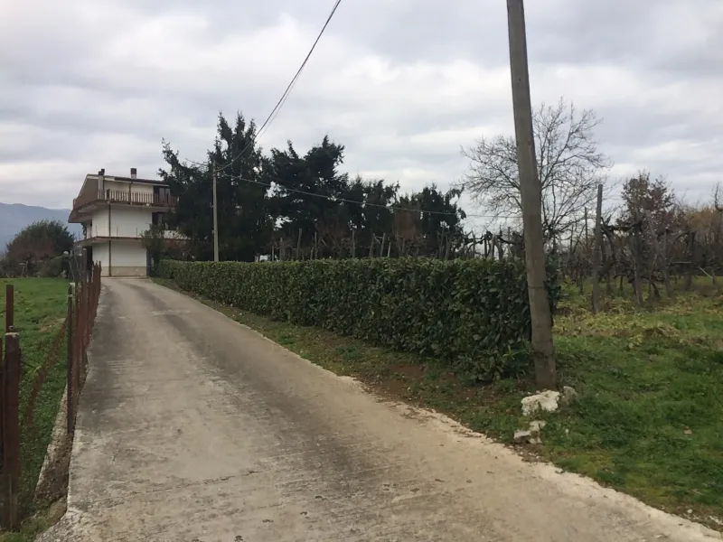 Rustico/Casale in vendita a Patrica - foto 5