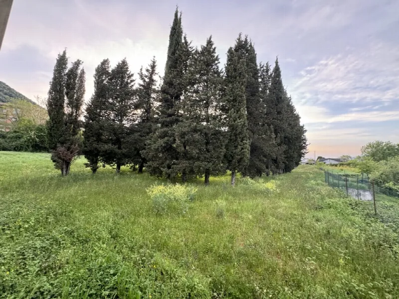 Villa in vendita a Patrica - foto 10
