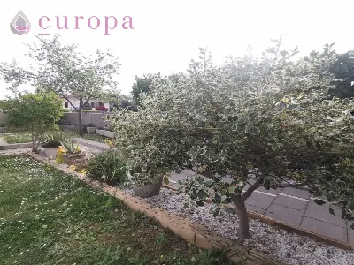 Villetta a schiera in vendita a Roveredo i... - foto 3