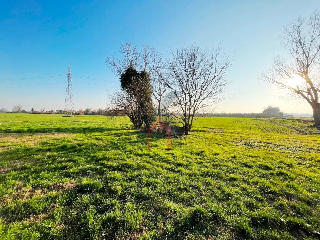 Casa Indipendente in vendita a Forlì, Roncadello, Villafranca - foto 4