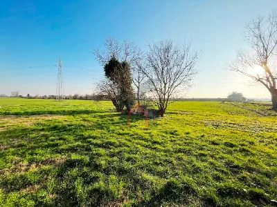 Casa Indipendente in vendita a Forlì, Ronc... - foto 4