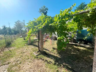 Casa Indipendente in vendita a Forlì, Ronc... - foto 5