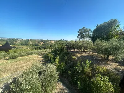 Rustico/Casale in vendita a Cesena, Saiano... - foto 9