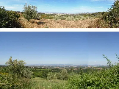 Rustico/Casale in vendita a Sarteano - foto 2
