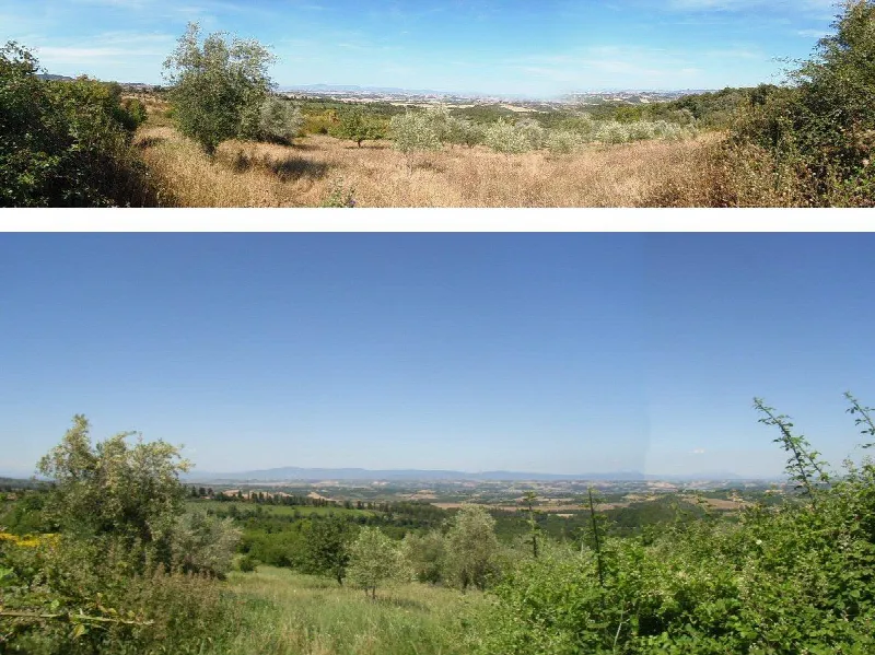 Rustico/Casale in vendita a Sarteano - foto 2