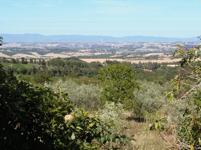 Rustico/Casale in vendita a Sarteano - foto 9