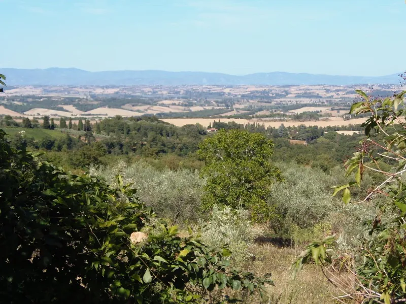 Rustico/Casale in vendita a Sarteano - foto 9