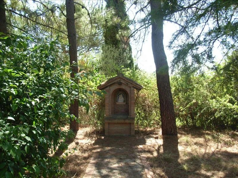 Rustico/Casale in vendita a Città della Pieve - foto 10