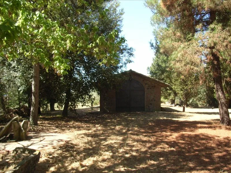 Rustico/Casale in vendita a Città della Pieve - foto 4