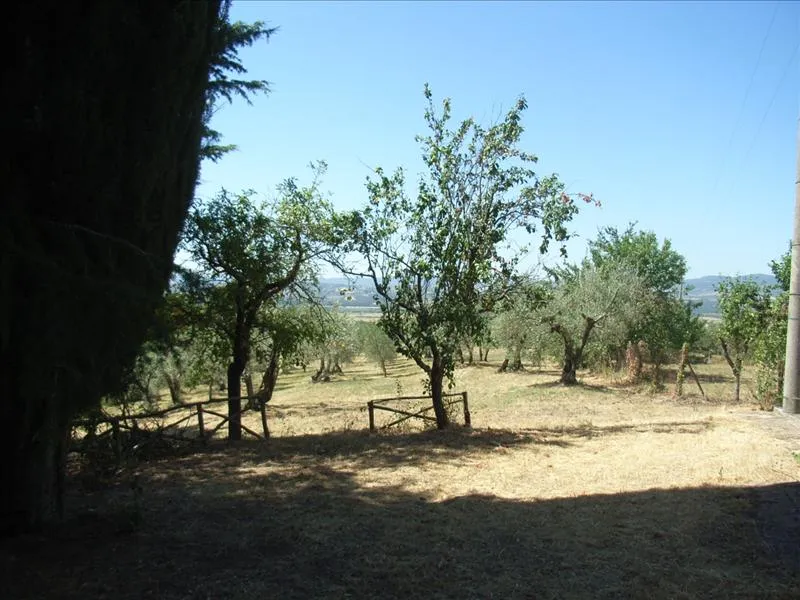 Rustico/Casale in vendita a Città della Pieve - foto 6