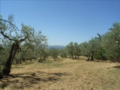 Rustico/Casale in vendita a Città della Pi... - foto 7