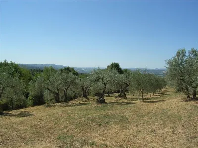 Rustico/Casale in vendita a Città della Pi... - foto 8