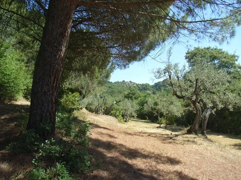 Rustico/Casale in vendita a Città della Pieve - foto 9