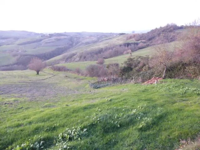 Rustico/Casale in vendita a Radicofani - foto 2