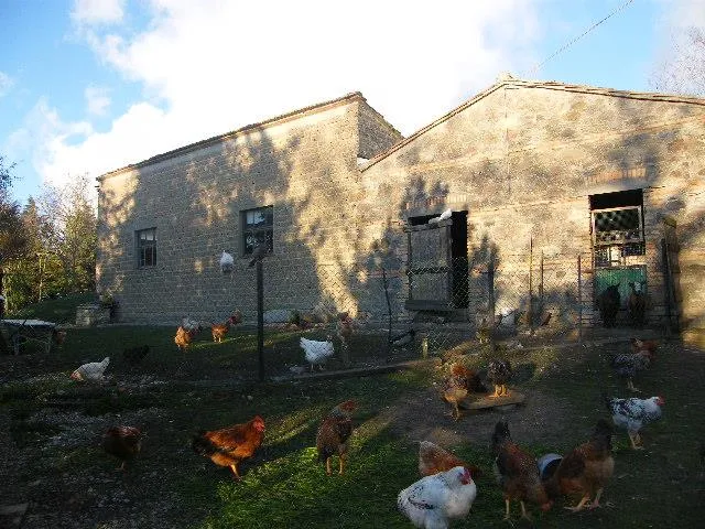 Rustico/Casale in vendita a Radicofani - foto 4