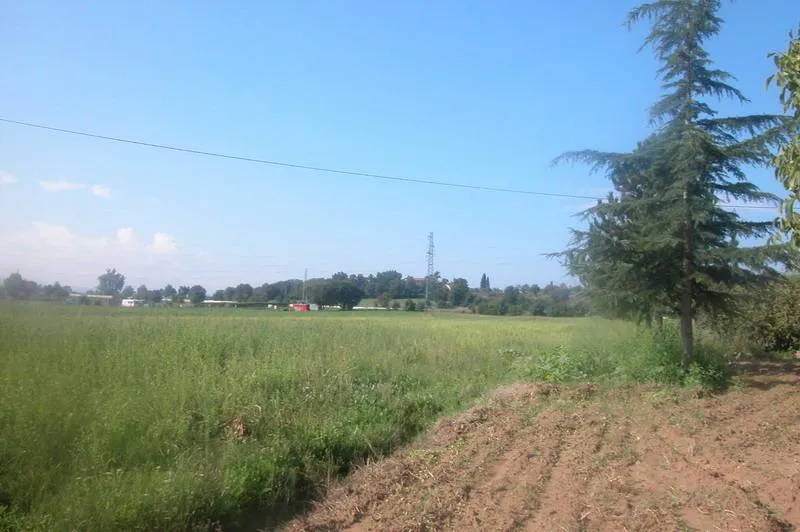 Rustico/Casale in vendita a Sinalunga - foto 9