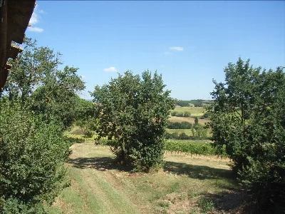 Rustico/Casale in vendita a Montepulciano - foto 5