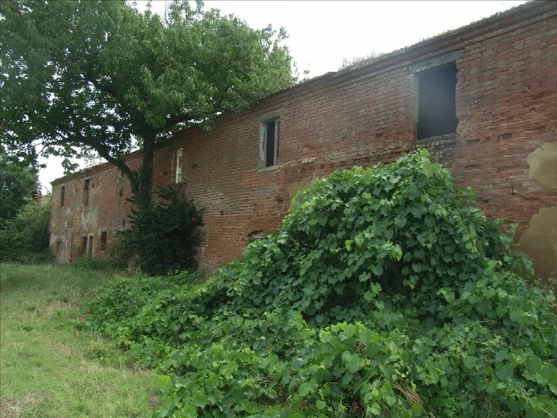 Rustico/Casale in vendita a Montepulciano - foto 7
