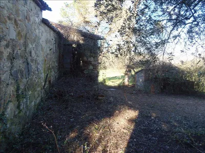 Rustico/Casale in vendita a San Casciano d... - foto 2