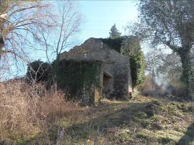 Rustico/Casale in vendita a San Casciano d... - foto 4