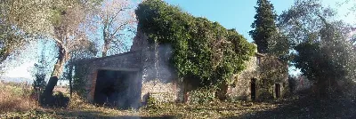 Rustico/Casale in vendita a San Casciano d... - foto 5
