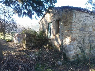 Rustico/Casale in vendita a San Casciano d... - foto 6