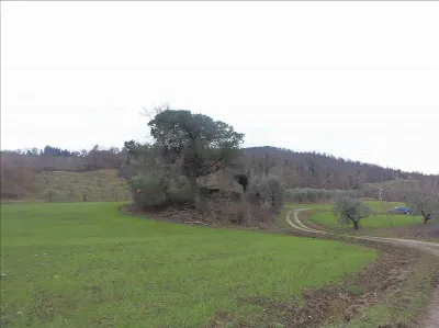 Rustico/Casale in vendita a San Casciano d... - foto 9