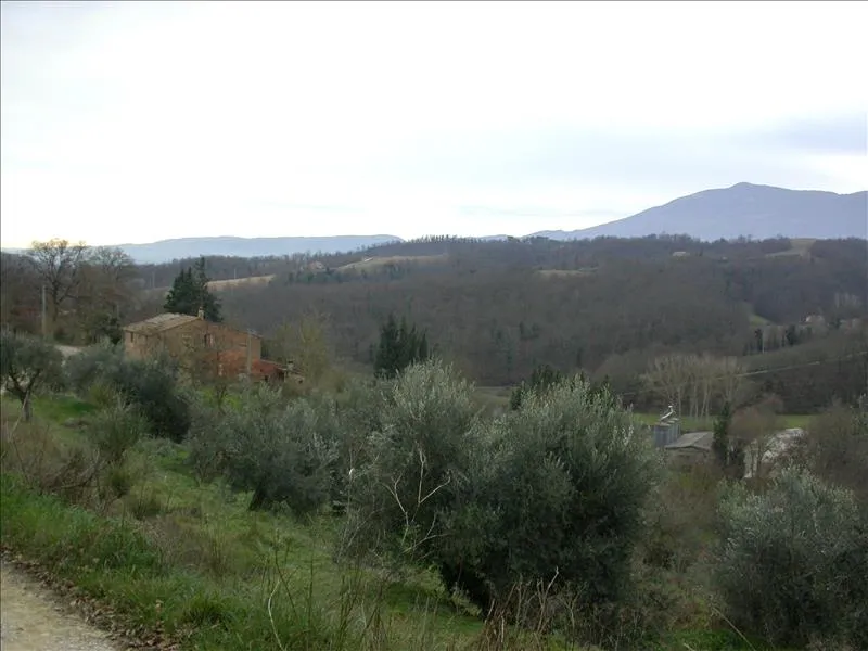 Rustico/Casale in vendita a Chiusi - foto 8