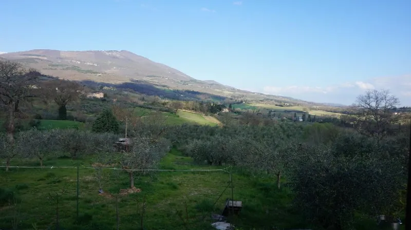 Villa in vendita a Cetona - foto 9