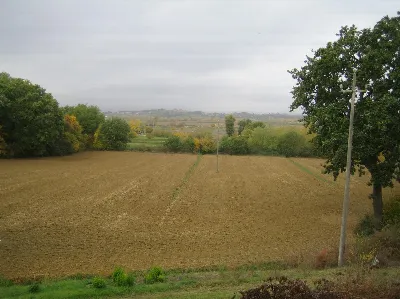 Rustico/Casale in vendita a Cortona - foto 6