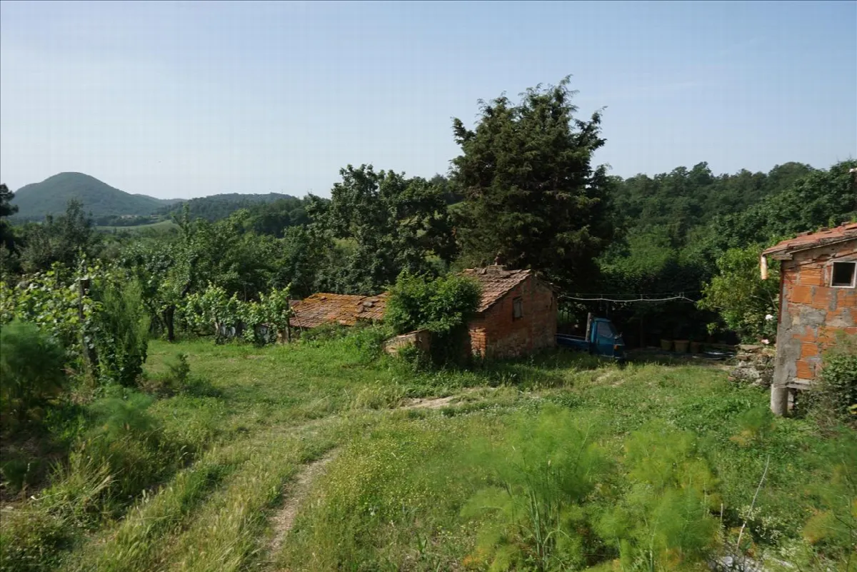 Rustico/Casale in vendita a Trequanda - foto 2